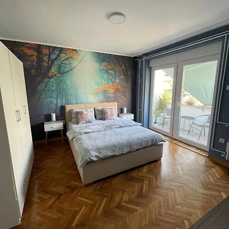 Apartman Avenia نوفي ساد المظهر الخارجي الصورة