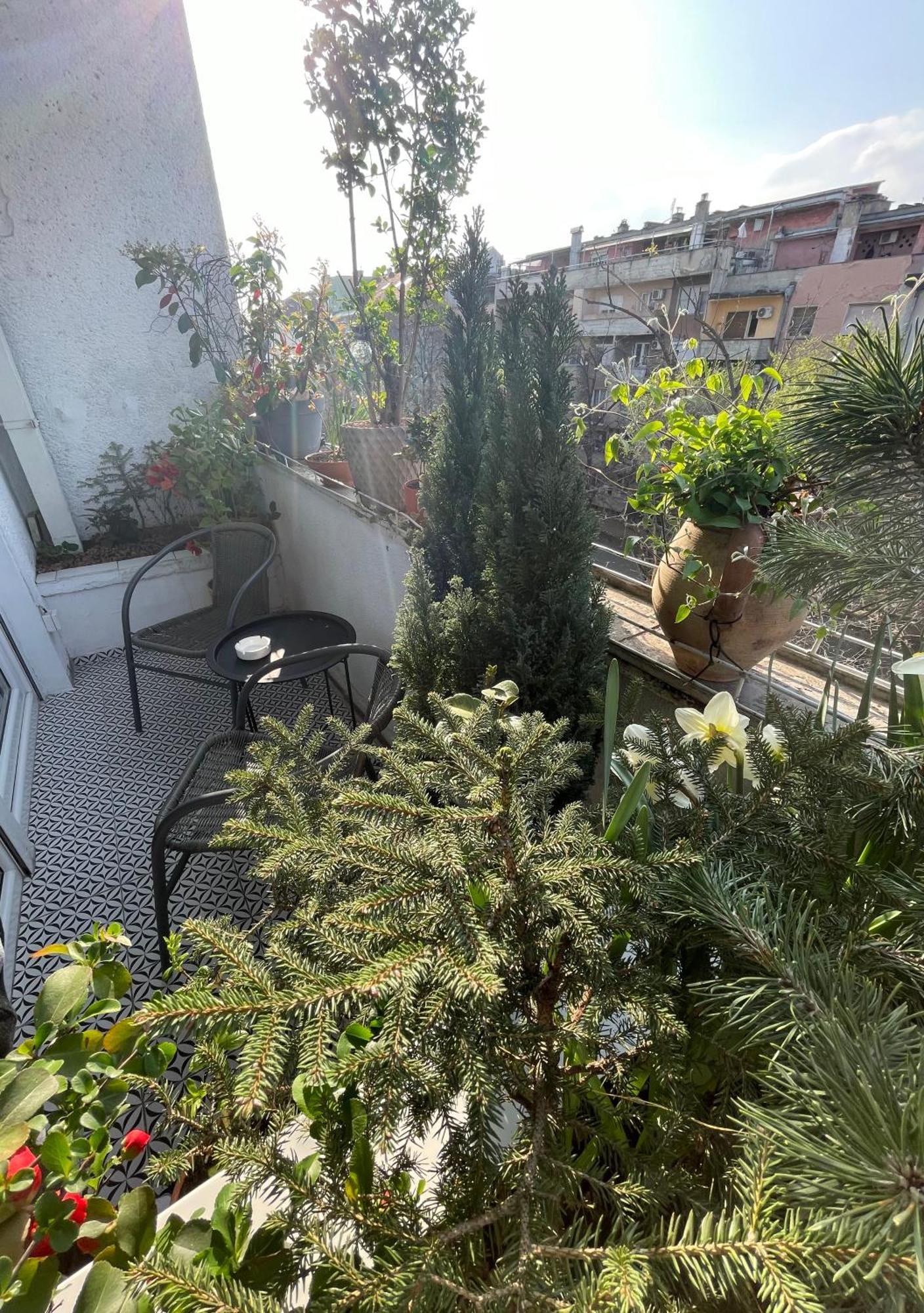Apartman Avenia نوفي ساد المظهر الخارجي الصورة