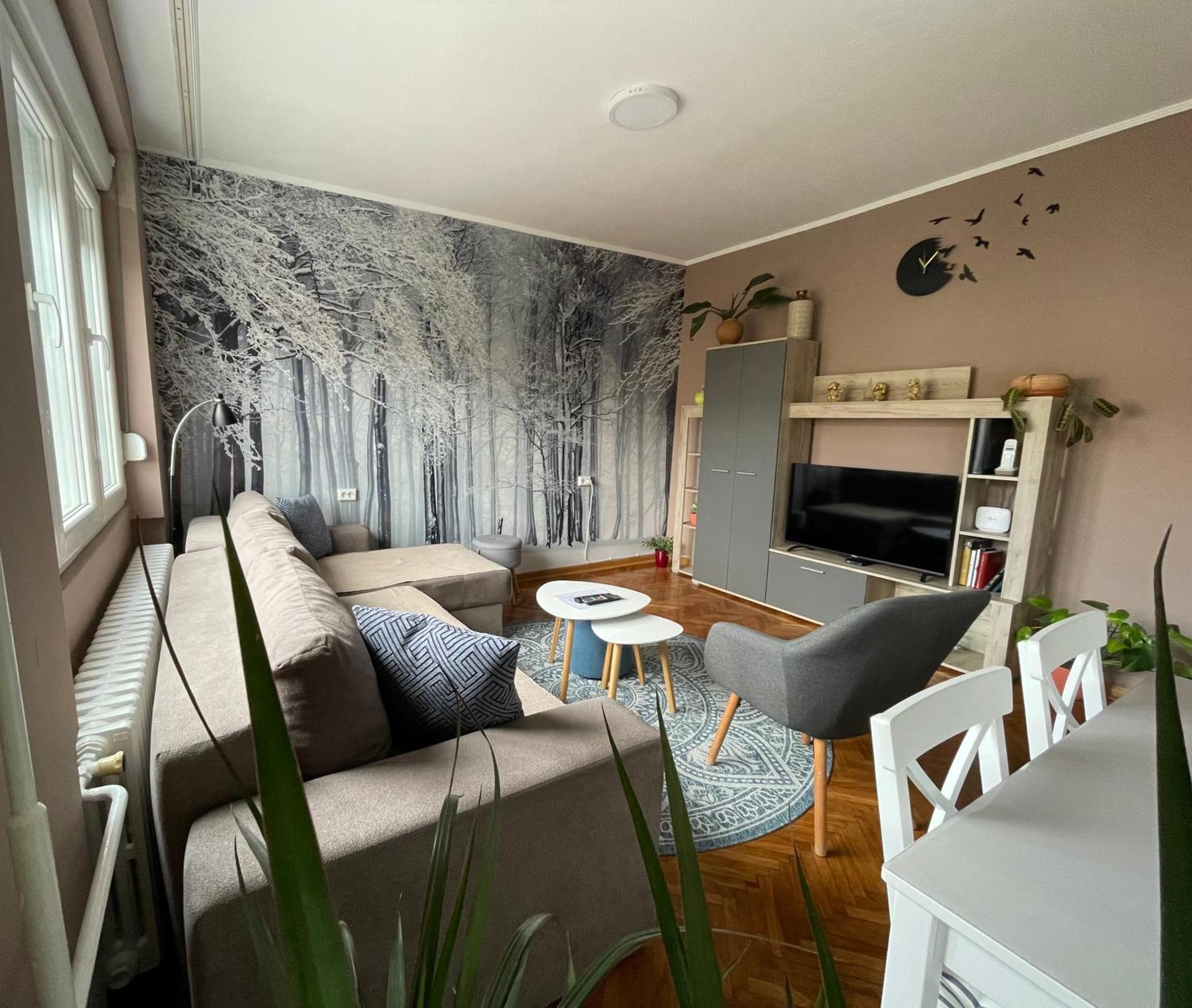 Apartman Avenia نوفي ساد المظهر الخارجي الصورة