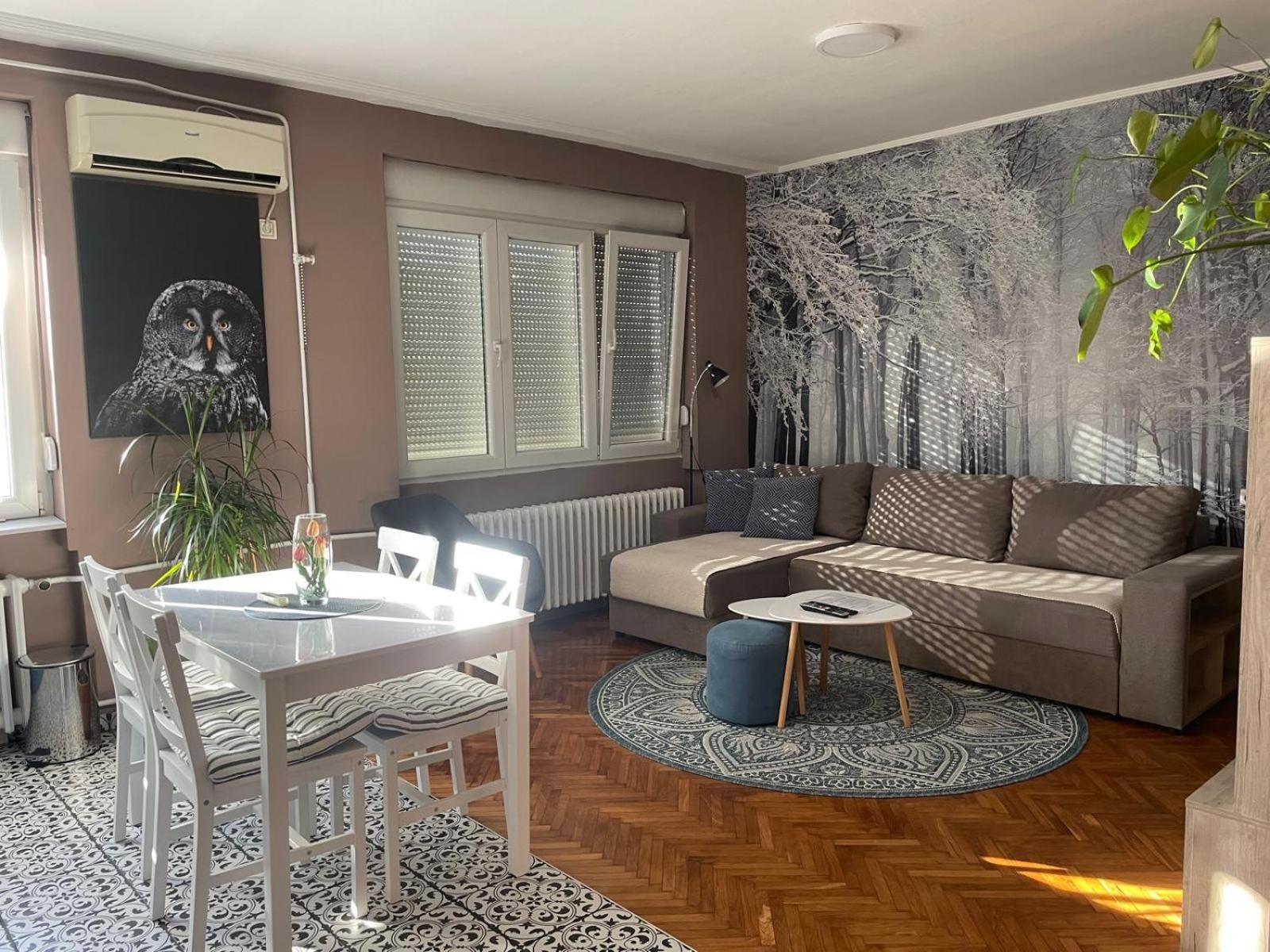 Apartman Avenia نوفي ساد المظهر الخارجي الصورة